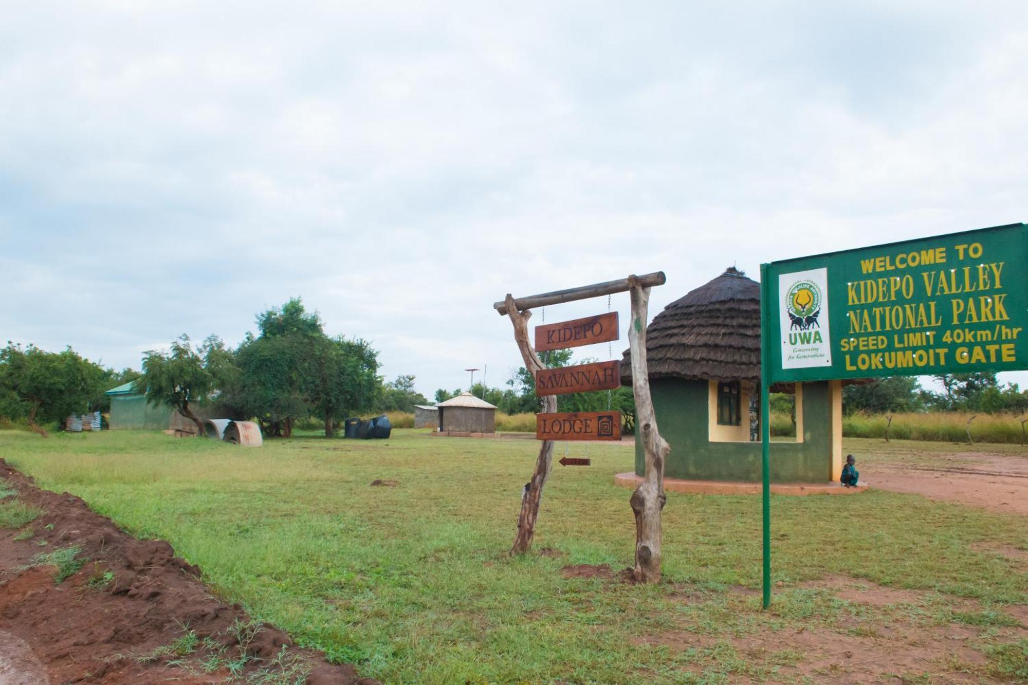 Kidepo Savannah Lodge By Nature Lodges Ltd Loitanit Kültér fotó