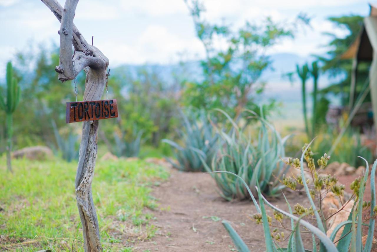 Kidepo Savannah Lodge By Nature Lodges Ltd Loitanit Kültér fotó